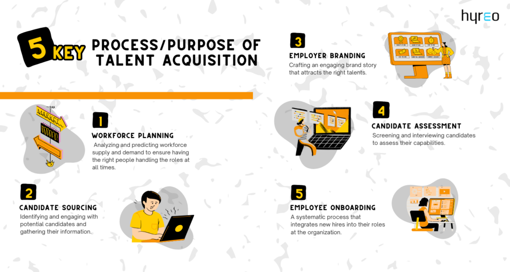 Talent Acquisition Vs Talent Management: Understanding the Ultimate ...